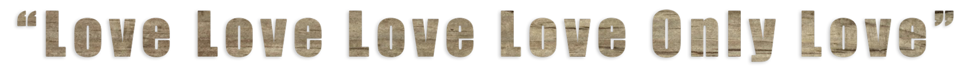 LOGO-Devider3